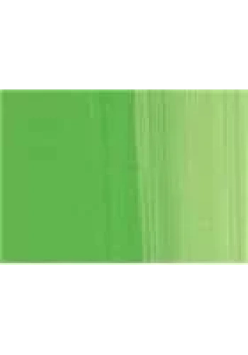 Lukas Studio 37ml Yağlı Boya No:0363 Permanent Yeşil Açık