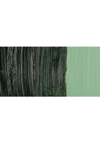 Maimeri Classico 60ml Yağlı Boya 358 Sap Green