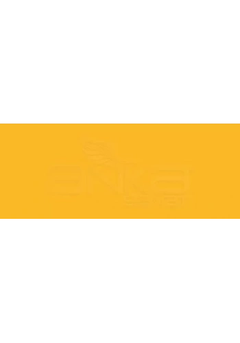 Copic Various Ink YR16 Apricot