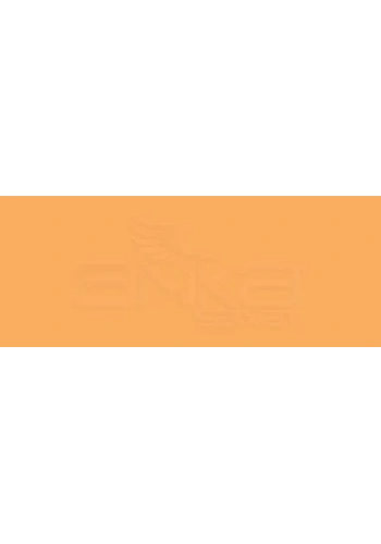 Copic Various Ink YR65 Atoll