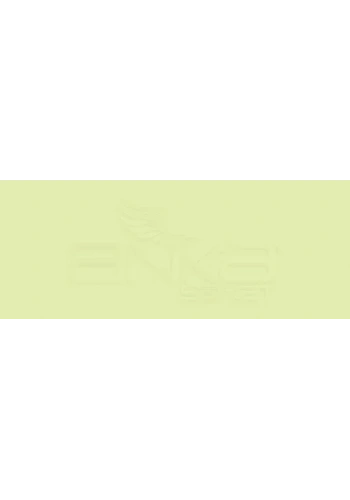 Copic Various Ink YG01 Green Bice