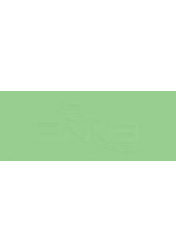 Copic Various Ink G14 Apple Green