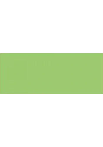 Mungyo Gallery Artists Toz Pastel Boya 039 Fluorescent Green