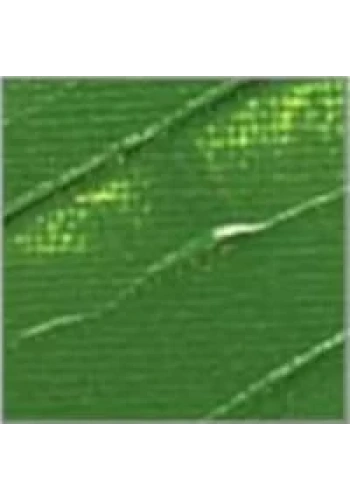 Pebeo Studio Akrilik Boya 61 Green Earth 100ml