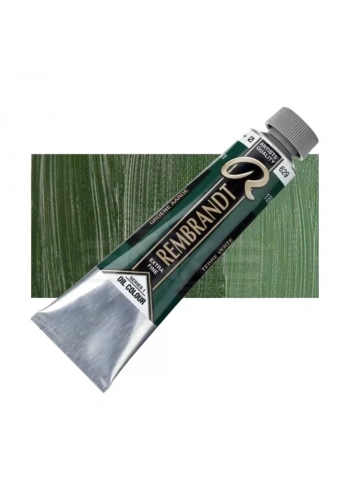 Rembrandt 40ml Yağlı Boya Seri:1 No:629 Green Earth