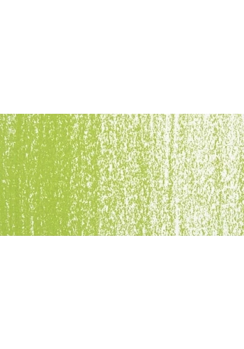 Rembrandt Soft Pastel Boya Olive Green 620.7