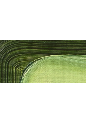 Schmincke Akademie 200ml Yağlı Boya No:506 Sap Green