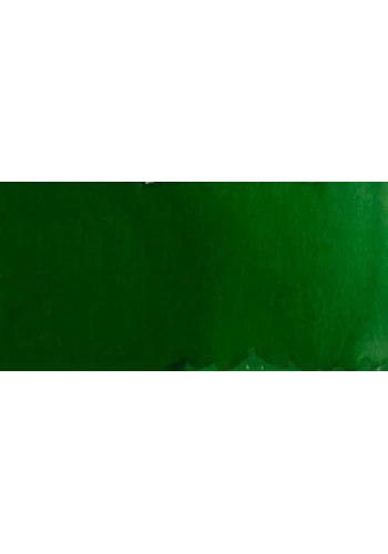 Talens Ecoline 30ml Forest Green No:656