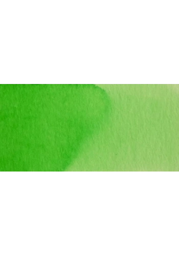 Talens Ecoline 30ml Green No:600