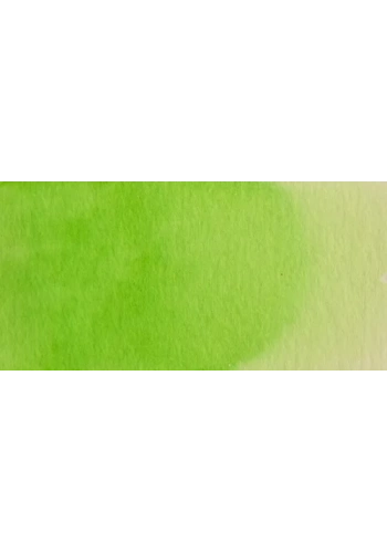 Talens Ecoline 30ml Light Green No:601