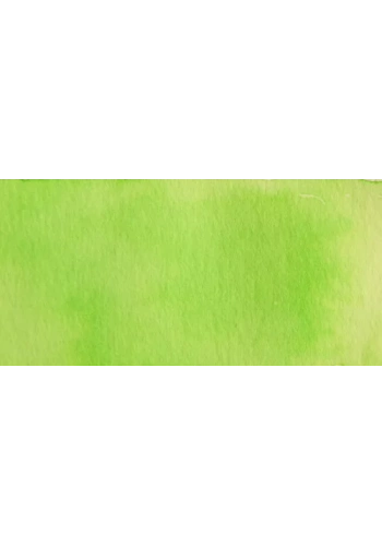 Talens Ecoline 30ml Pastel Green No:666