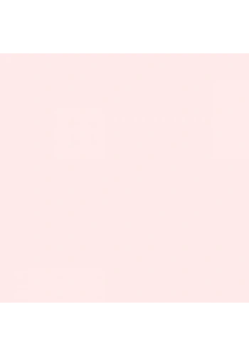 Tombow Dual Brush Pen Baby Pink 800