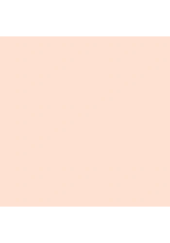 Tombow Dual Brush Pen Flesh 850