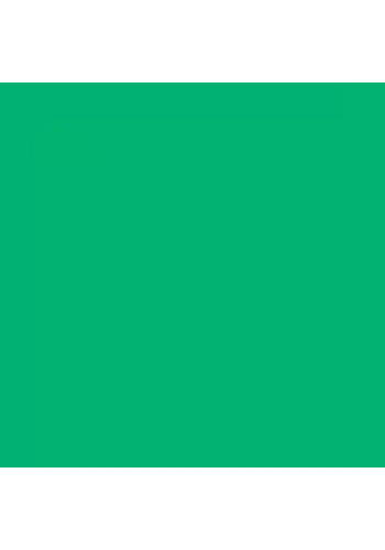 Tombow Dual Brush Pen Green 296