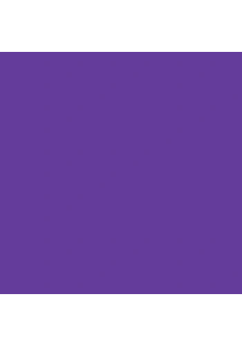 Tombow Dual Brush Pen İmperial Purple 636