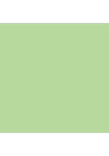 Tombow Dual Brush Pen Mint 243