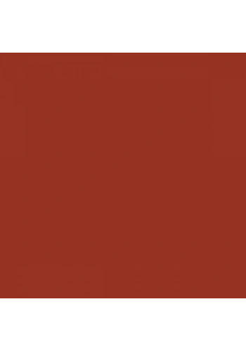 Tombow Dual Brush Pen Redwood 899