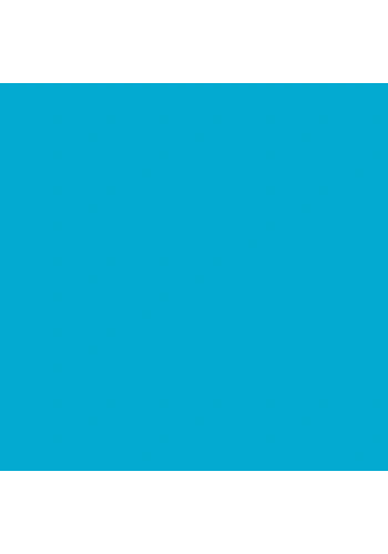 Tombow Dual Brush Pen Turquoise 443