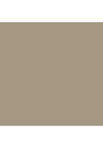 Tombow Dual Brush Pen Warm Grey 5 N57