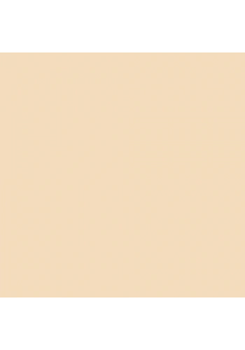 Touch Twin Marker BR113 Peanut