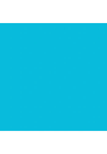 Touch Twin Brush Marker B66 Baby Blue