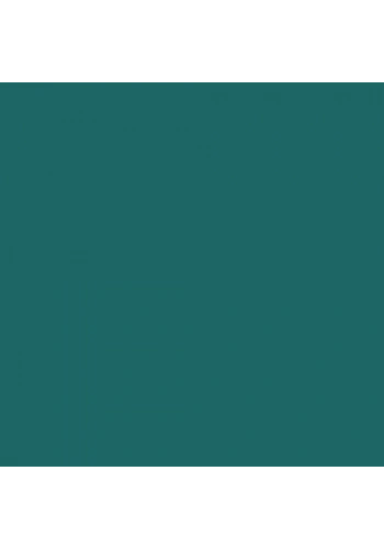 Touch Twin Brush Marker BG50 Forest Green