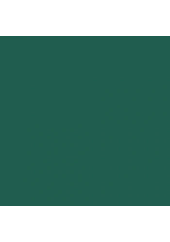 Touch Twin Brush Marker BG51 Dark Green