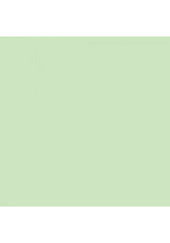 Touch Twin Brush Marker GY167 Pale Green Light