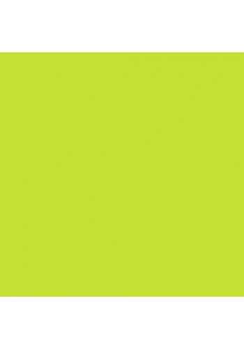 Touch Twin Brush Marker GY48 Yellow Green