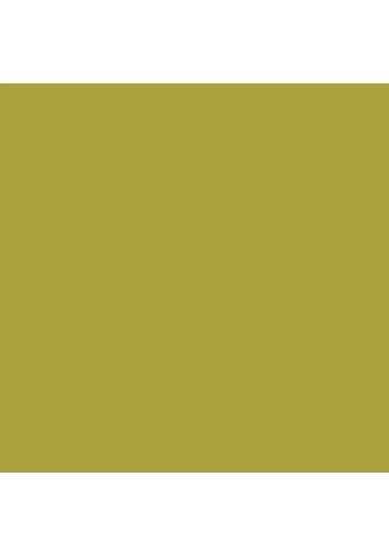 Touch Twin Brush Marker Y224 Olive Pale