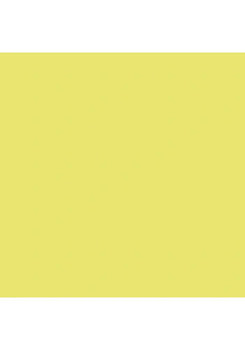 Touch Twin Brush Marker Y49 Pastel Green