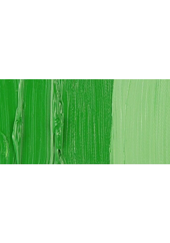 Van Gogh 40ml Yağlı Boya Seri:1 No:614 Perm Green