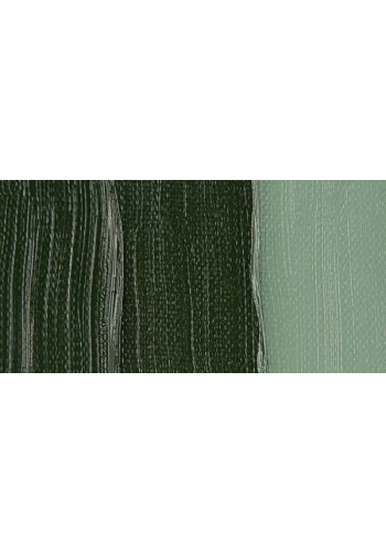 Van Gogh 40ml Yağlı Boya Seri:1 No:629 Green Earth