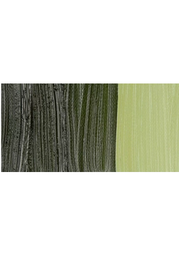 Van Gogh 40ml Yağlı Boya Seri:2 No:620 Olive Green