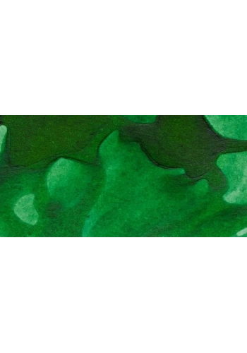 Winsor & Newton Ink Çini Mürekkebi 14ml 046 Brilliant Green