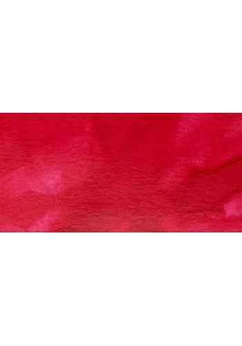 Winsor & Newton Ink Çini Mürekkebi 14ml 127 Carmine