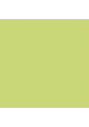 Zig Art & Graphic Twin Marker TUT-80 53 Pale Green
