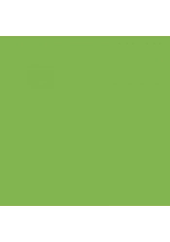 Zig Calligraphy II Çift Uçlu Kaligrafi Kalemi 2mm & 3.5mm-Light Green 041