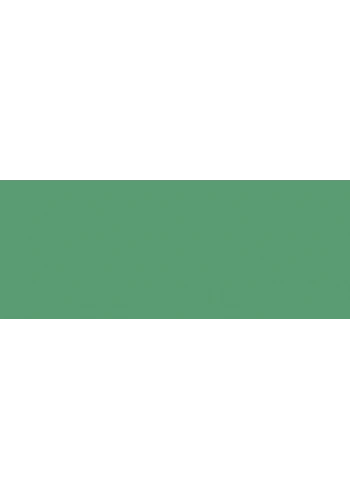 Copic Sketch Marker G46 Mistletoe