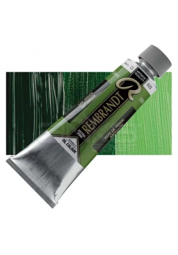 Rembrandt Yağlı Boya 150ml Seri 2 No: 623 Sap Green