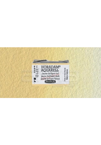 Schmincke Horadam Aquarell 1/1 Tablet 221 Brilliant Yellow Dark seri 2
