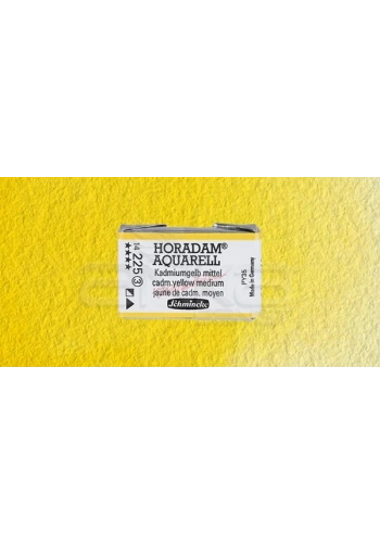 Schmincke Horadam Aquarell 1/1 Tablet 225 Cadmium Yellow Middle seri 3