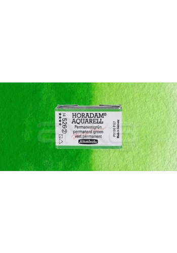 Schmincke Horadam Aquarell 1/1 Tablet 526 Permanent Green seri 2