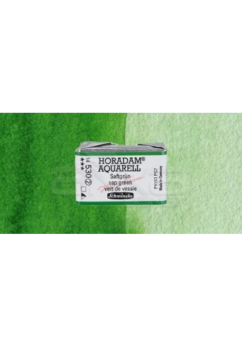 Schmincke Horadam Aquarell 1/1 Tablet 530 Sap Green seri 2