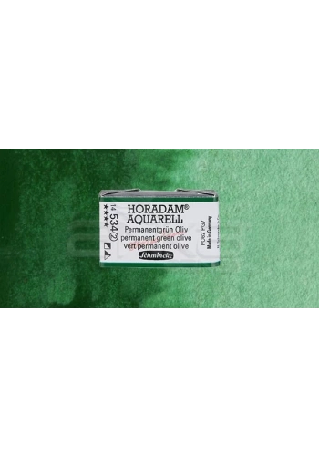Schmincke Horadam Aquarell 1/1 Tablet 534 Permanent Green Olive seri 2