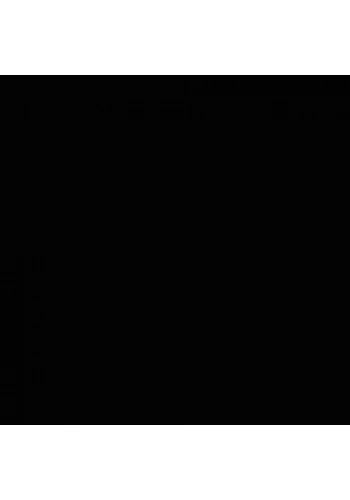 Ponart Cam Boyası 20ml Siyah