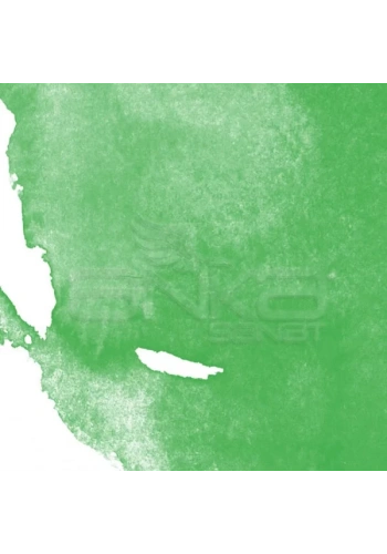 Daler Rowney Aquafine Watercolour İnk Sulu Boya Mürekkebi 29.5ml 355 Leaf Green