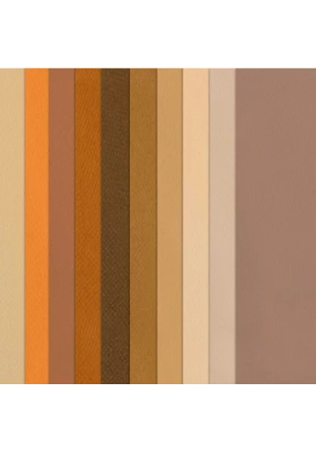 Canson 50x65 160g Fon Kartonu 10lu Kahve Tonlar