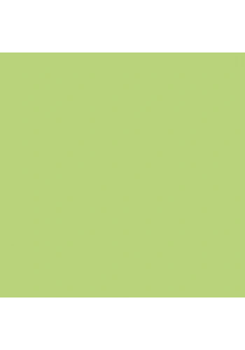 Edding Fırça Uçlu Porselen Kalemi 4200 1-4mm Light Green 11