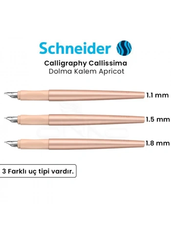 Schneider Calligraphy Callissima Dolma Kalem Apricot
